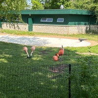 Foto tirada no(a) Henry Vilas Zoo por Christine em 6/7/2023