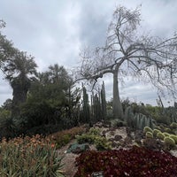 Photo taken at The Huntington Library, Art Collections, and Botanical Gardens by Shawn C. on 5/3/2024