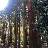 Photo taken at Stern Grove Trocadero Clubhouse by Shawn C. on 4/15/2021