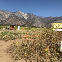 Foto scattata a Los Rios Rancho da Dianna N. il 10/11/2020