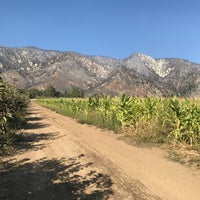 10/11/2020 tarihinde Dianna N.ziyaretçi tarafından Los Rios Rancho'de çekilen fotoğraf