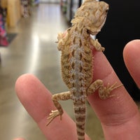 Photo taken at Pet Supplies Plus Centreville by Missy Y. on 4/10/2013