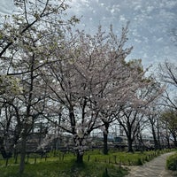 Photo taken at 梅小路公園芝生広場 by akira m. on 4/6/2024