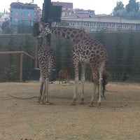 Photo taken at Faruk Yalçın Hayvanat Bahçesi by Öykü🎈 ✌. on 8/7/2016