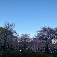 Photo taken at Tsuruma Park by 最終信号 on 4/9/2024