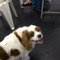 Photo taken at Best Friends Pet Care by Brian J. on 7/26/2014