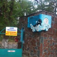 Северный дельфин лагерь. Лагерь дельфин в крыму. Северный дельфин лагерь. Оск дельфин. Лагерь дельфин песчаное бахчисарайский.