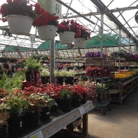 American Plant Garden Center In Bethesda