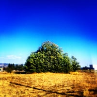 City of Rohnert Park - 4 tips from 1544 visitors
