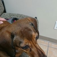 Creature Comforts Veterinary Hospital 3 Tips From 131 Visitors