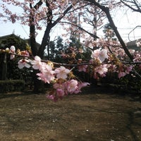 Photo taken at 日本大学文理学部 サークル棟 by ゆりっぺ on 3/12/2014