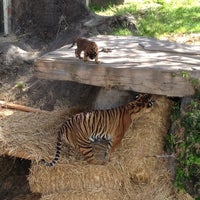 Photo taken at San Francisco Zoo by Chris S. on 4/19/2013