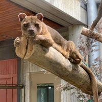 Photo taken at San Francisco Zoo by Chris S. on 9/8/2023