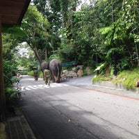 Photo taken at Elephant Bathing Area by Aysel B. on 12/29/2014