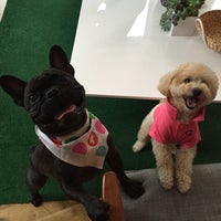 Photo taken at BarkBox by Paige C. on 9/25/2015