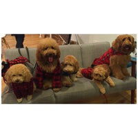Photo taken at BarkBox by Paige C. on 12/17/2015