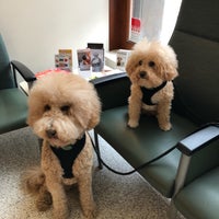 Photo taken at Park East Animal Hospital by Paige C. on 4/22/2018