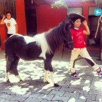 Foto scattata a Doğuşlu Binicilik ve Pony Kulübü da Doğuşlu Binicilik ve Pony Kulübü il 2/8/2014