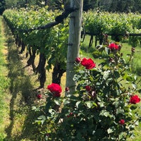 Photo taken at Jonathan Edwards Winery by Lilly T. on 6/15/2019