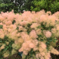 川崎市緑化センター 多摩区 川崎市多摩区 神奈川県