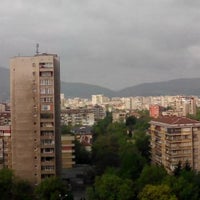 Irina Nikolva E Izbrana Za Chlen Na Nacionalniya Svet Po Ceni I Reimbursirane Na Lekarstvata Lekarstva Novini Bg