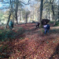 Photo taken at Gobions Wood by David B. on 11/11/2012