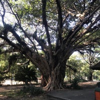 Photo taken at Parque Jardim da Luz by Marcello G. on 6/30/2022