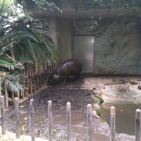 Photo taken at Hippopotamus by RIKI M. on 6/11/2022