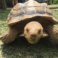 Photo taken at The Live Turtle &amp;amp; Tortoise Museum by Riann G. on 3/11/2018