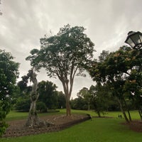 Photo taken at Singapore Botanic Gardens by Riann G. on 7/30/2020