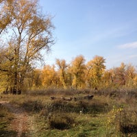 Photo taken at Лес на Мостоотряде by Владимир З. on 10/12/2014