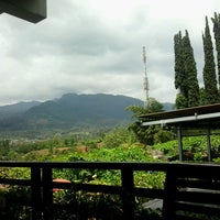 Review Cimory Mountain View