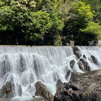 花の木公園 Park In 新城市