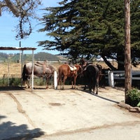Sea Horse Ranch - 4 tips from 399 visitors