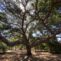 Photo taken at Chatsworth Oaks Park by Judy A. on 4/23/2022