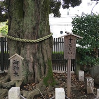 Photo taken at 八幡大神社 by Fumihiko M. on 10/20/2019