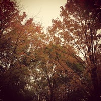 Photo taken at Dream in High Park by Ula on 10/13/2012