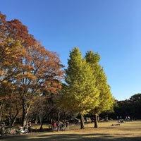 Photo taken at Kitanomaru Park by 自由児 吉. on 11/12/2016