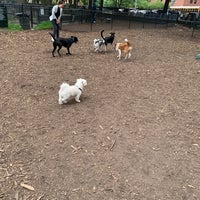 Photo taken at Marcus Garvey Park - Dog Run by Brian K. on 6/14/2022