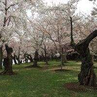 Photo taken at Cherry Blossoms by stepher on 4/21/2015