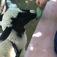 6/23/2019 tarihinde Gülcan K.ziyaretçi tarafından Mia Dalyanköy Kahvaltı'de çekilen fotoğraf