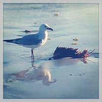 Photo taken at Cooks Beach by Strumpet101 on 3/27/2014