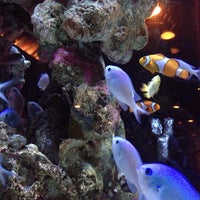 Lime 麻布十番ライム Artik Kapali 麻布 354 Ziyaretcidan 2 Tavsiye