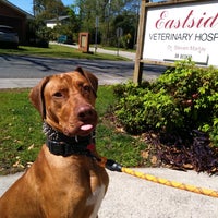 Photo taken at Eastside Veterinary Hospital by FRITZ f. on 3/29/2021