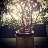 Photo taken at Topaz Park by Trevor E. on 11/16/2013