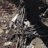 Das Foto wurde bei Denison Pequotsepos Nature Center von Kathleen N. am 4/14/2016 aufgenommen