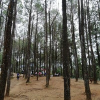 Puncak Becici 3 Tips From 397 Visitors