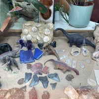 Foto scattata a Mr Woods Fossils da Rita A. il 6/14/2022