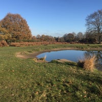 Photo taken at Richmond Doggy Pond by Rita A. on 11/25/2017