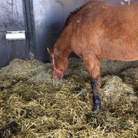 Aveve Commers Garden Center In Mechelen